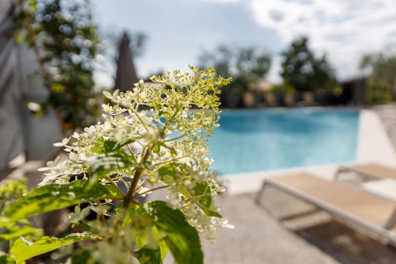 Art Hotel Ventaglio Μπαρντολίνο Εξωτερικό φωτογραφία