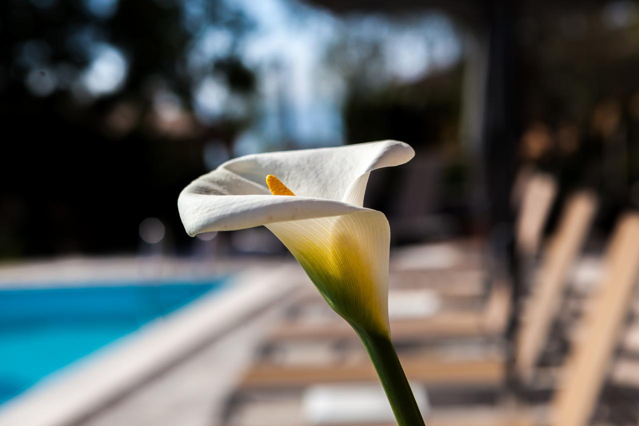 Art Hotel Ventaglio Μπαρντολίνο Εξωτερικό φωτογραφία